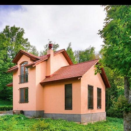 Dilijan Dream House! 3 Bedroom Amazing Villa In National Park! エクステリア 写真