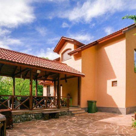 Dilijan Dream House! 3 Bedroom Amazing Villa In National Park! エクステリア 写真