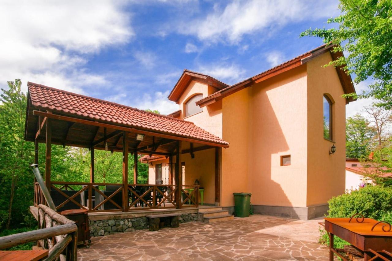 Dilijan Dream House! 3 Bedroom Amazing Villa In National Park! エクステリア 写真